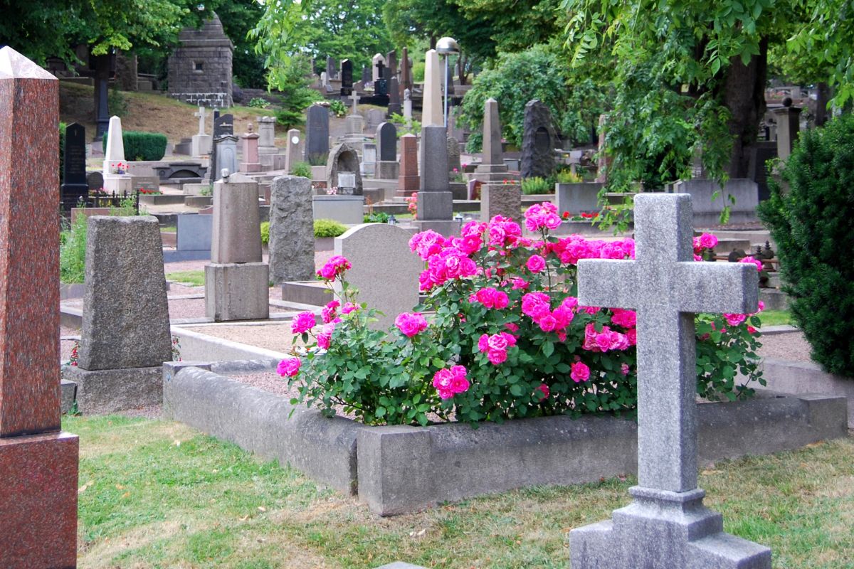 cimetiere